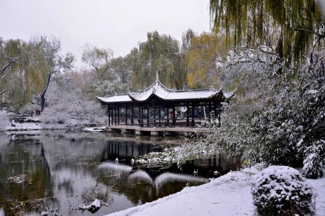 北京雪中陶然亭公园唯美风景图片(8)