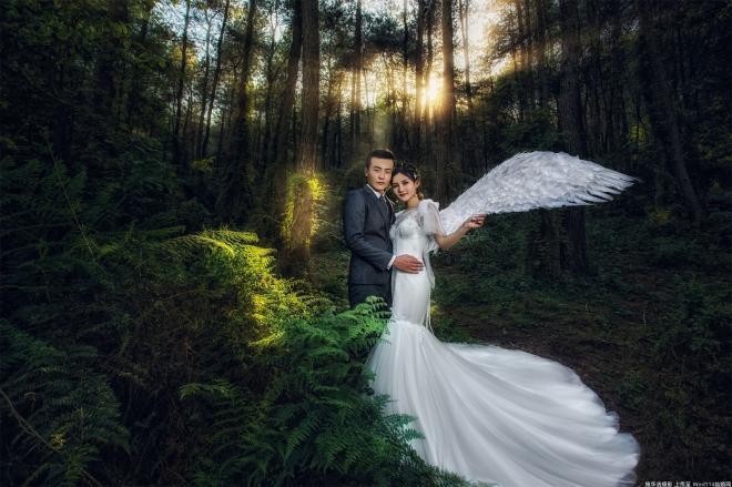 唯美森林系的婚纱照图片(4)