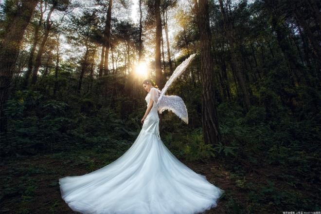 唯美森林系的婚纱照图片(6)