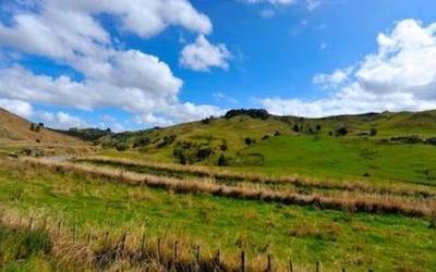 新西兰乡村田园风景图片(2)