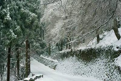 冬天真实雪景图片(2)