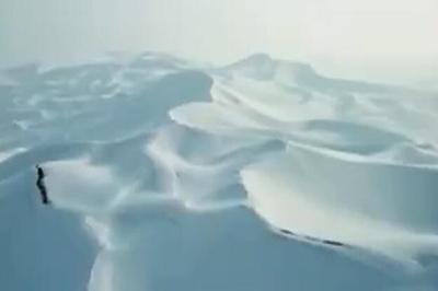 沙漠变“雪海”图片