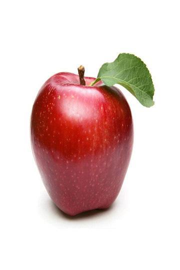 苹果的水果图片(2)