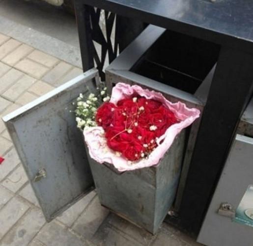 垃圾桶里的玫瑰花图片，人生百味，情最浓，人生繁华，淡最真
