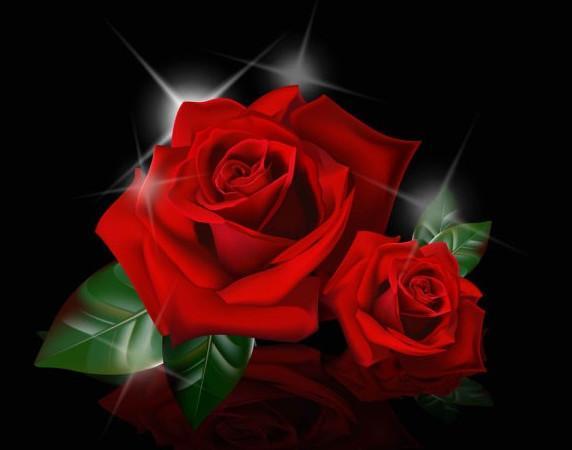 一朵大红玫瑰花图片，对别人来说就像一颗糖，吃了就没了