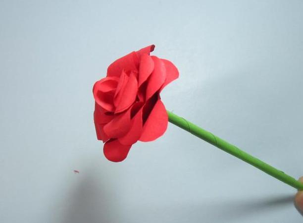 玫瑰花的剪法步骤图片，长大以后，我觉得孤单是很凄凉的一件事