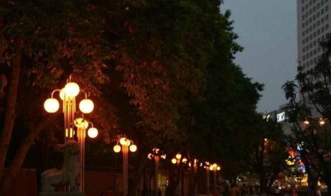 夜景街灯图片，就是生活之树上的一片片绿叶