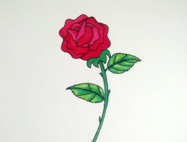画玫瑰花素描图片大全，韶华盛极之后，只在风中零落成满目的伤
