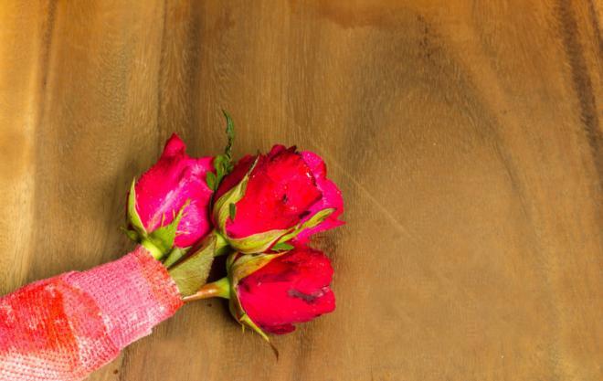 美丽的玫瑰花图片大全，很重，是世上最重的重量